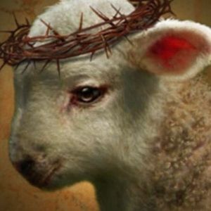 Meet your Posher, Mary ann